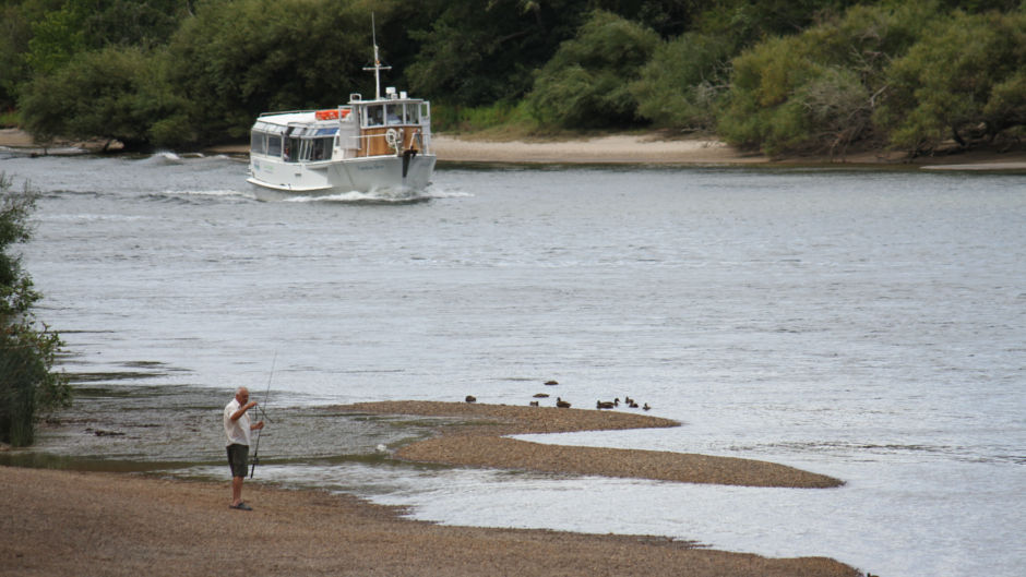 Join the friendly team at Waikato River Explorer for a fantastic scenic cruise on the mighty Waikato River.